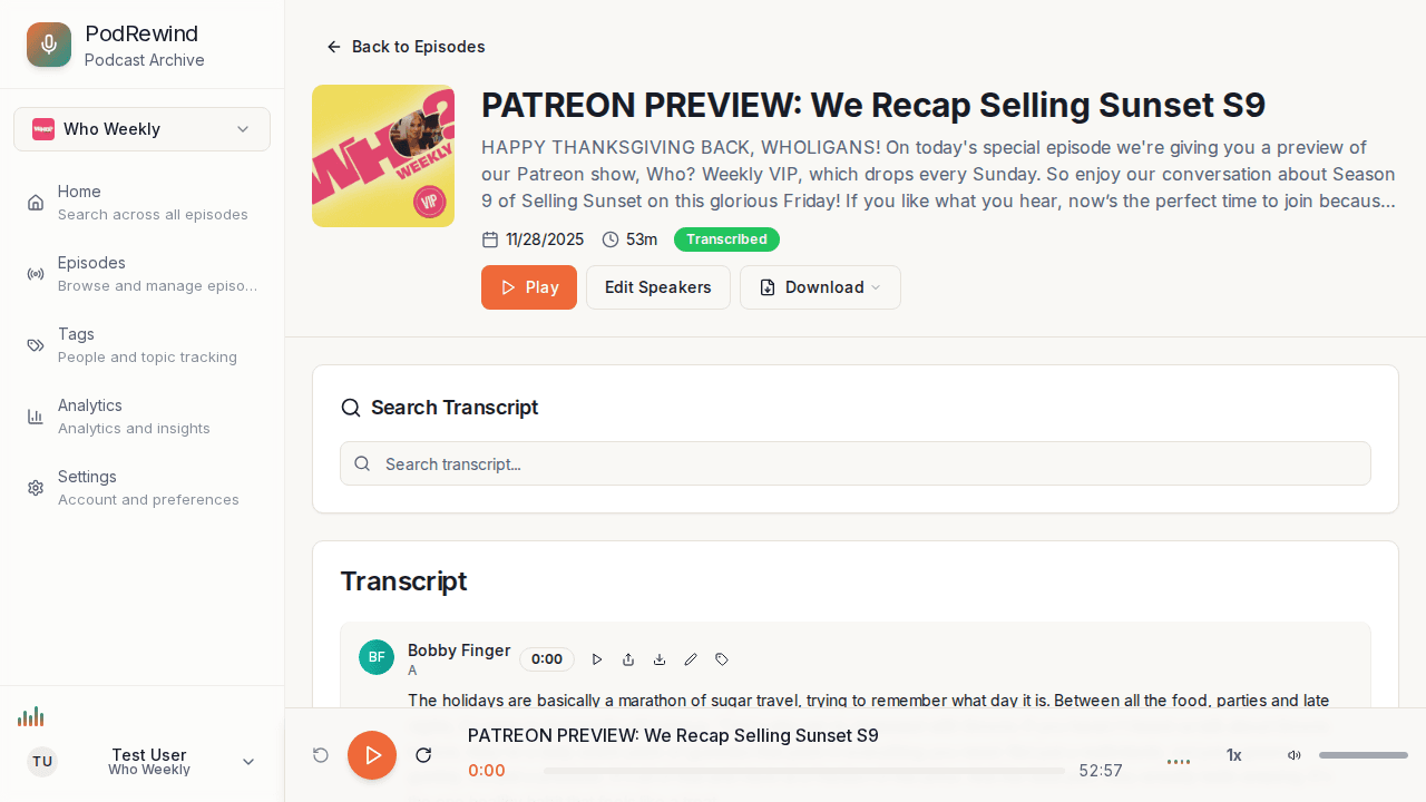 Audio player controls